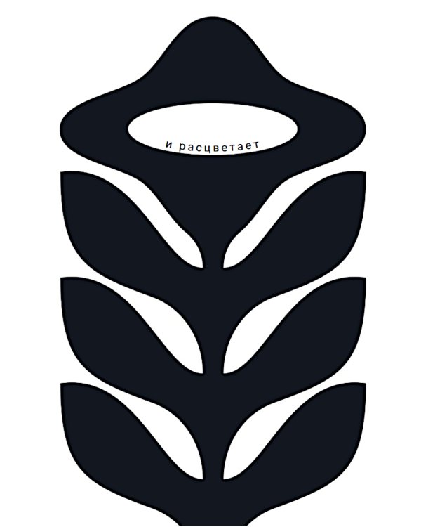 Как семечко становится цветочным полем