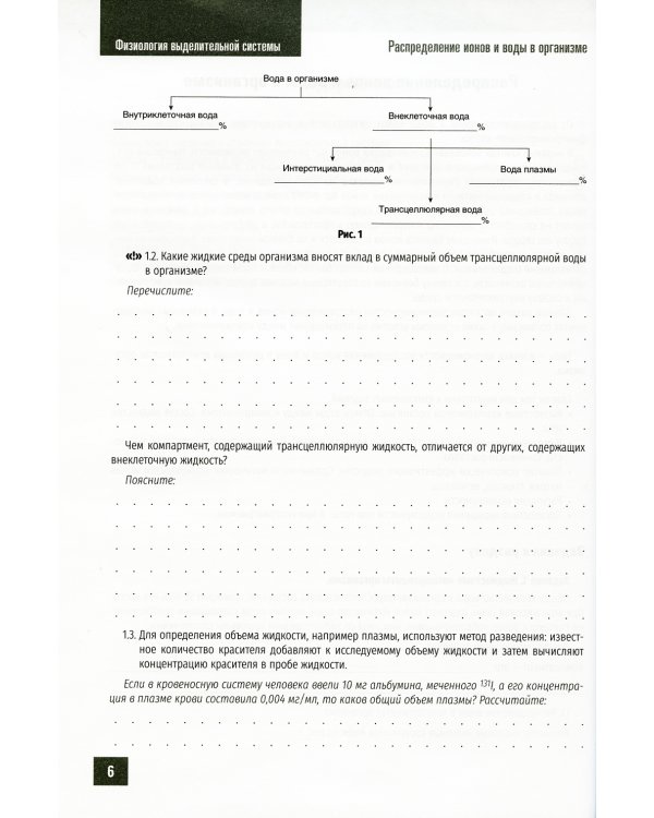 Нормальная физиология. Физиология выделительной системы. Рабочая тетрадь