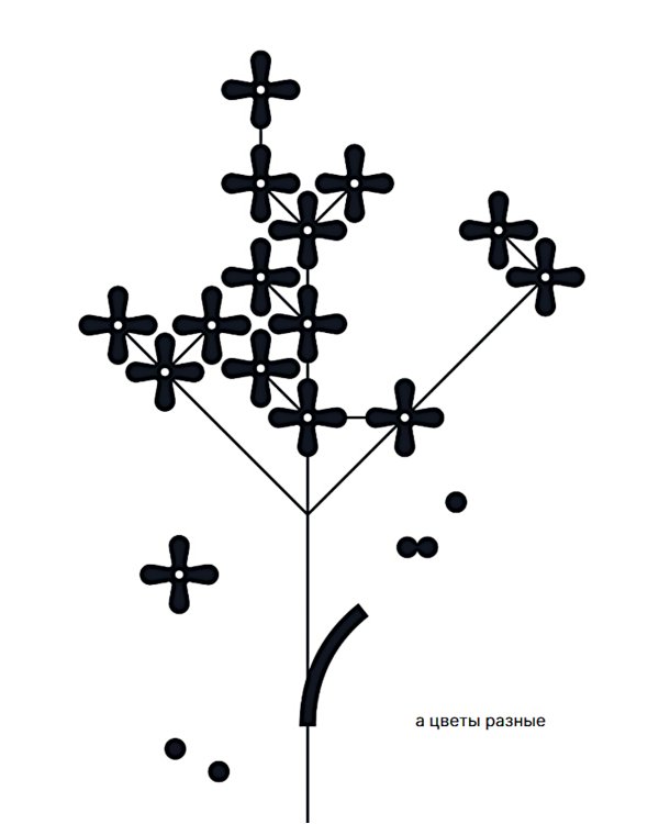 Как семечко становится цветочным полем