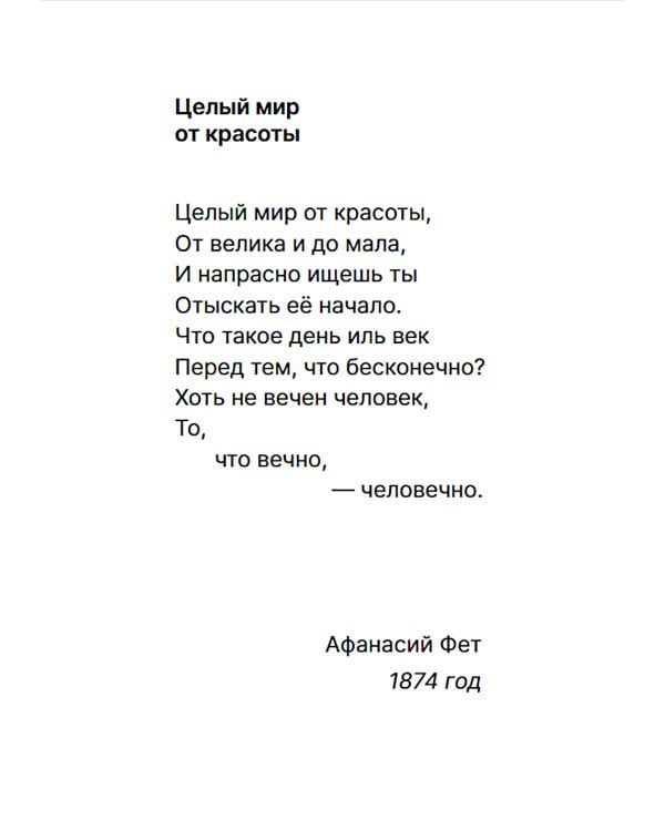 Как семечко становится цветочным полем