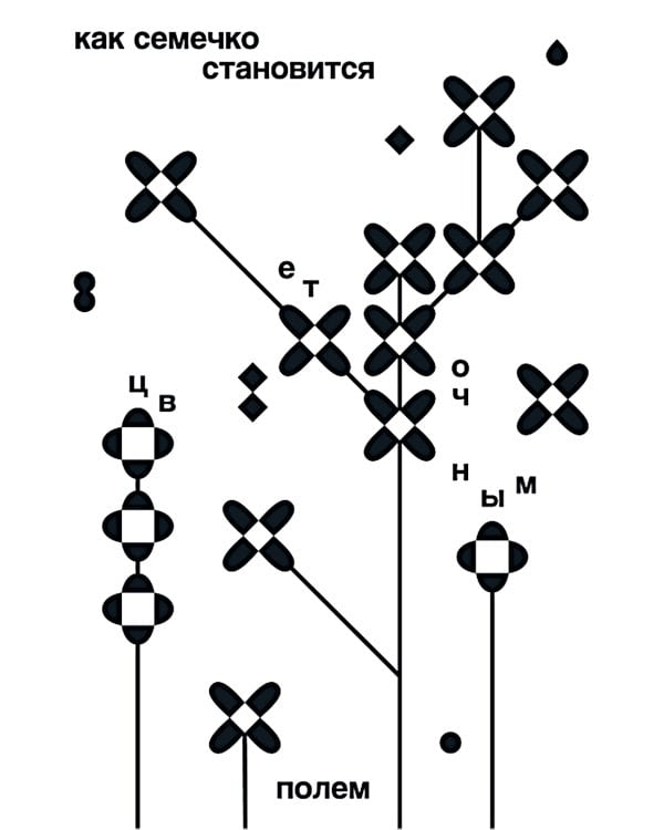 Как семечко становится цветочным полем