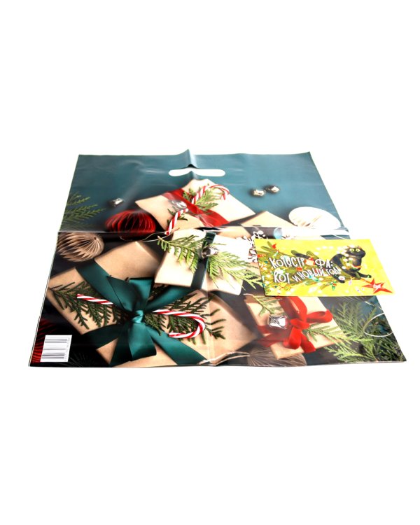 Новогодняя мечта принцессы Эвы + Один день в гостях у волшебницы (Комплект из 2-х книг)