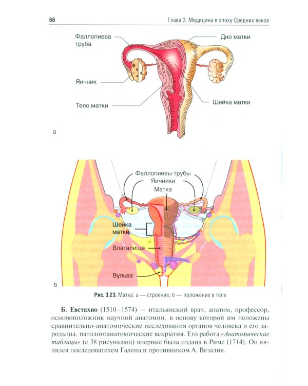 История медицины: Учебное пособие. 3-е изд., перераб. и доп