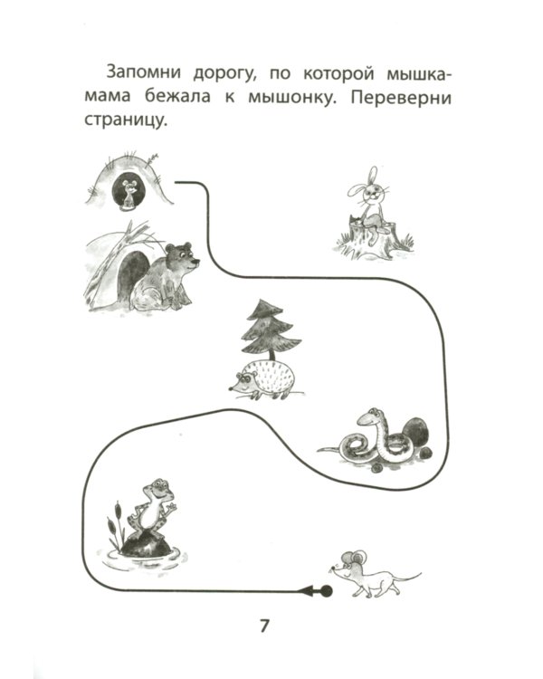 Прятки. Развиваем память: готовимся к школе