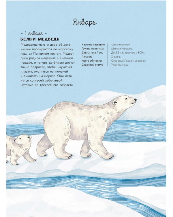 Животные каждый день. Большая энциклопедия
