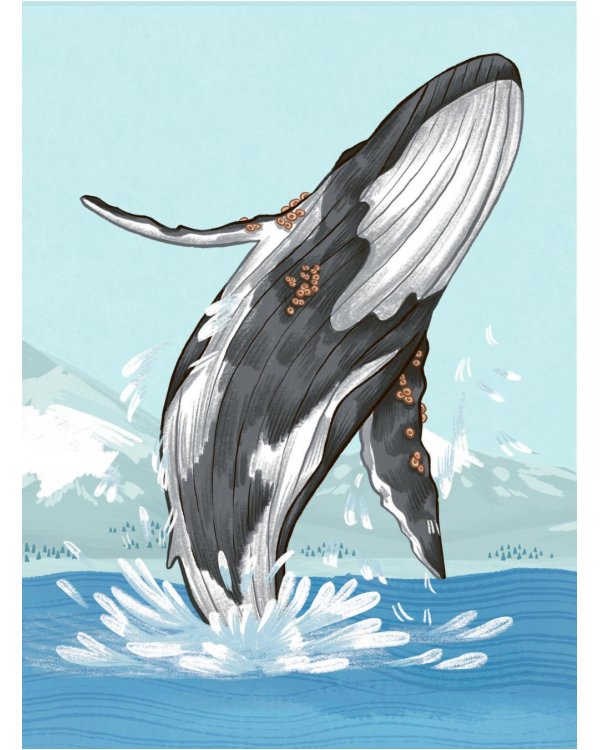 Животные каждый день. Большая энциклопедия