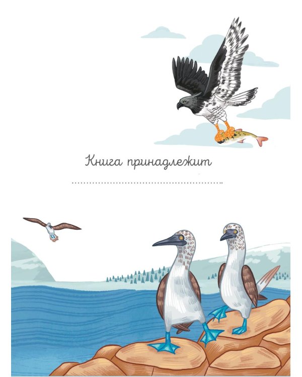 Животные каждый день. Большая энциклопедия