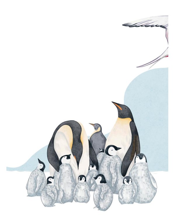 Животные каждый день. Большая энциклопедия