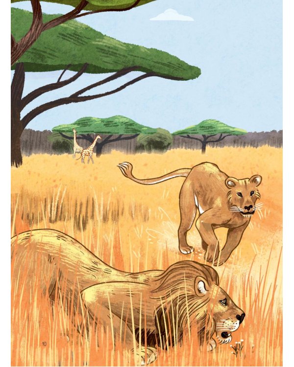 Животные каждый день. Большая энциклопедия