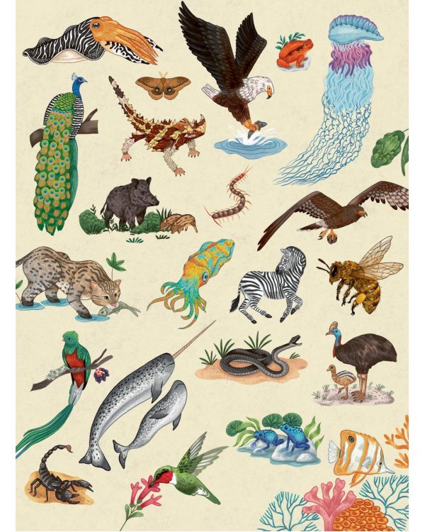 Животные каждый день. Большая энциклопедия