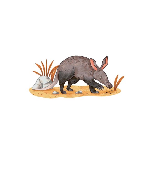 Животные каждый день. Большая энциклопедия