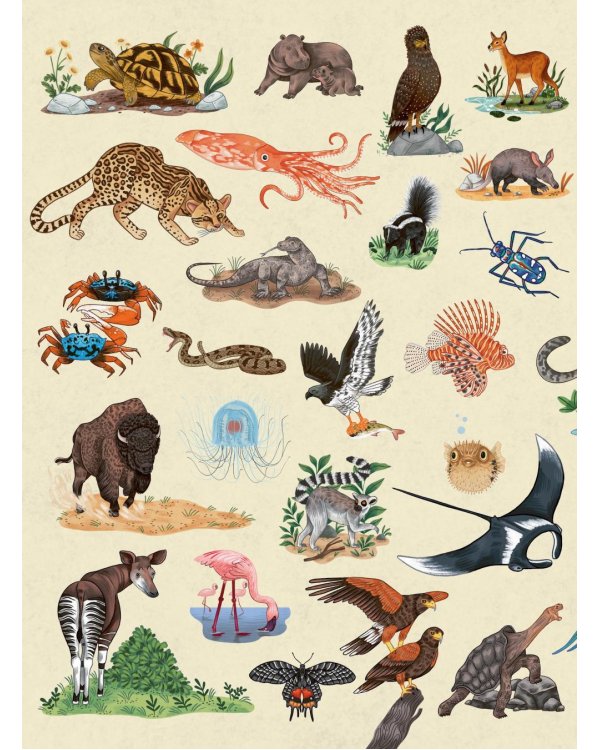 Животные каждый день. Большая энциклопедия