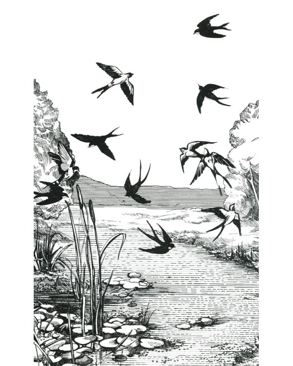 Еще люблю, еще томлюсь…: лирика