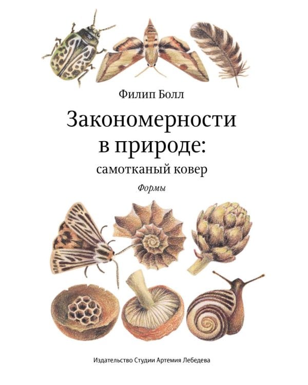 Закономерности в природе: самотканый ковер: В 3 ч.: Ч. 1: Формы