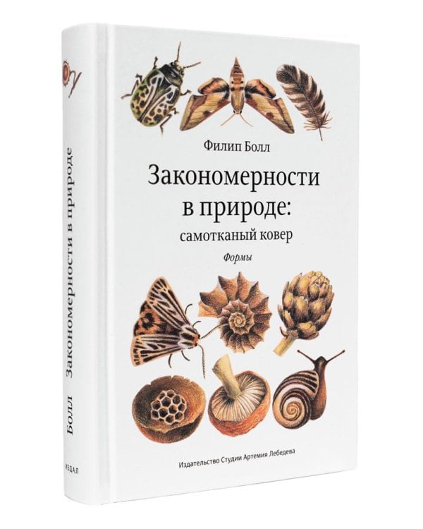Закономерности в природе: самотканый ковер: В 3 ч.: Ч. 1: Формы