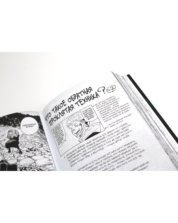 Магическая битва 1. Кн. 1-2: Двуликий Сукуна. Проклятый плод: манга