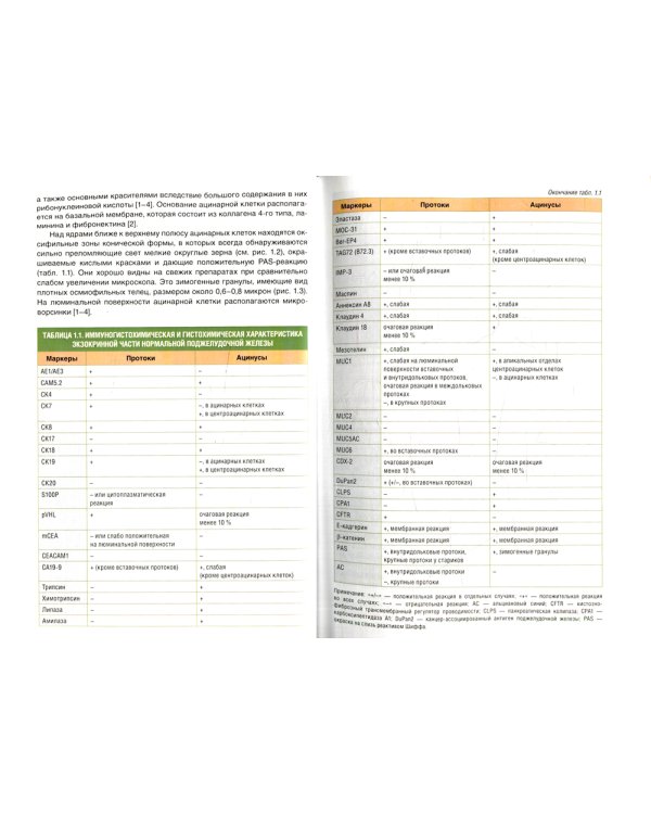 Патоморфологическая диагностика опухолеподобных образований поджелудочной железы. Руководство для врачей