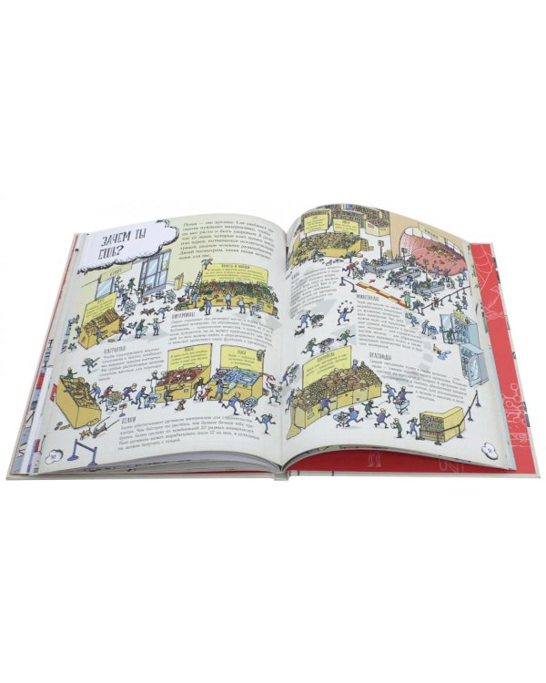 Большое путешествие по телу человека