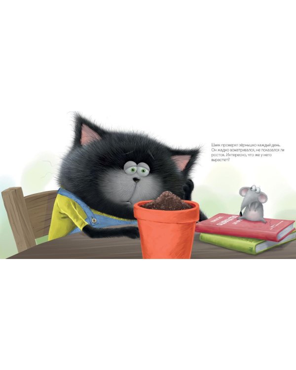 Котенок Шмяк и загадочное зернышко