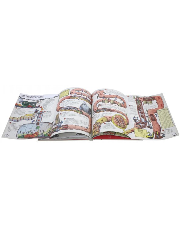 Большое путешествие по телу человека