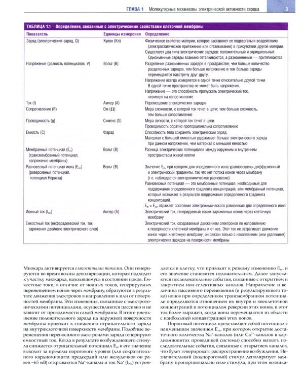 Клиническая аритмология и электрофизиология. Дополнение к руководству по сердечно-сосудистой медецине