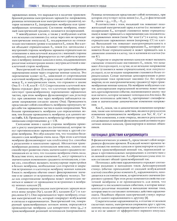 Клиническая аритмология и электрофизиология. Дополнение к руководству по сердечно-сосудистой медецине