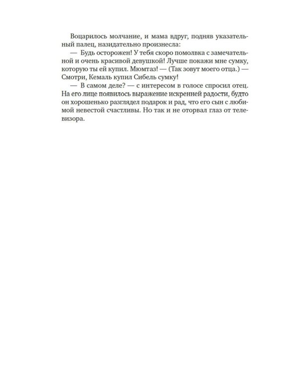 Музей Невинности: роман