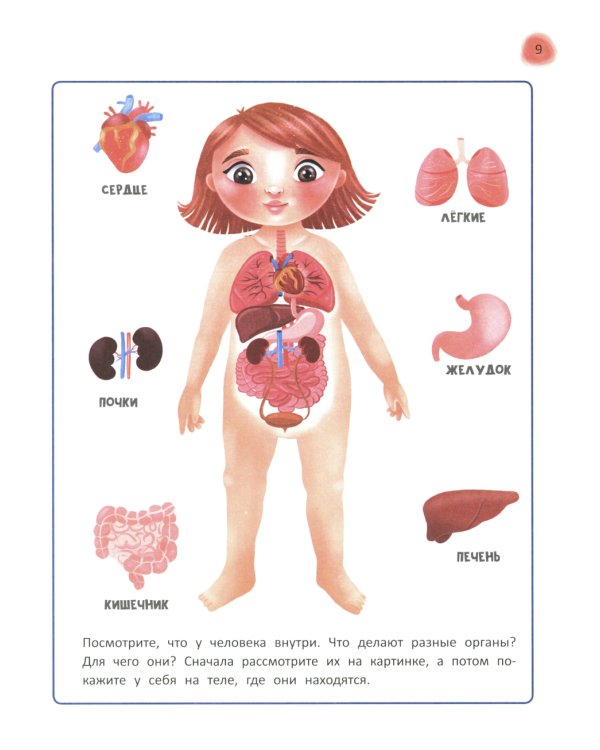 Сказочный учебник дошкольника. Болезни человека и их лечение