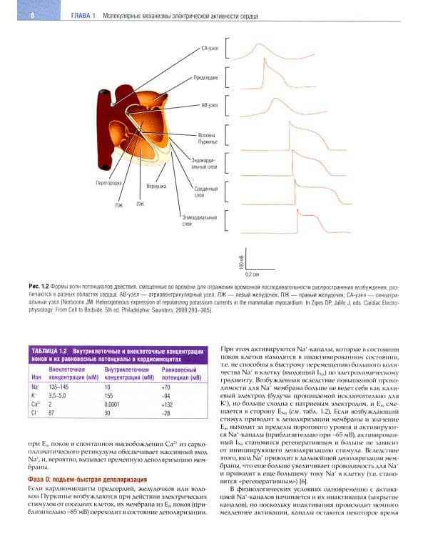 Клиническая аритмология и электрофизиология. Дополнение к руководству по сердечно-сосудистой медецине