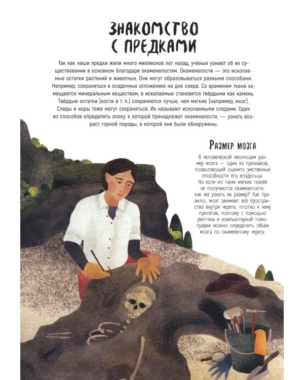 Как мы стали людьми. Невероятные приключения человечества