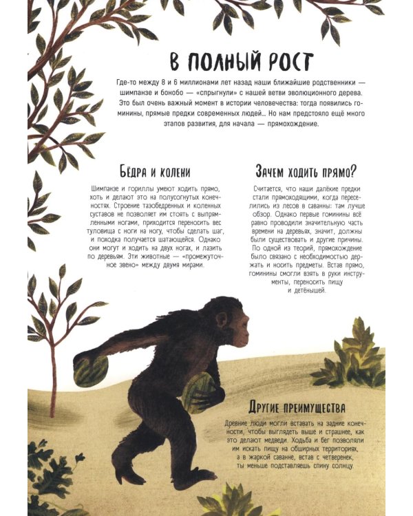 Как мы стали людьми. Невероятные приключения человечества