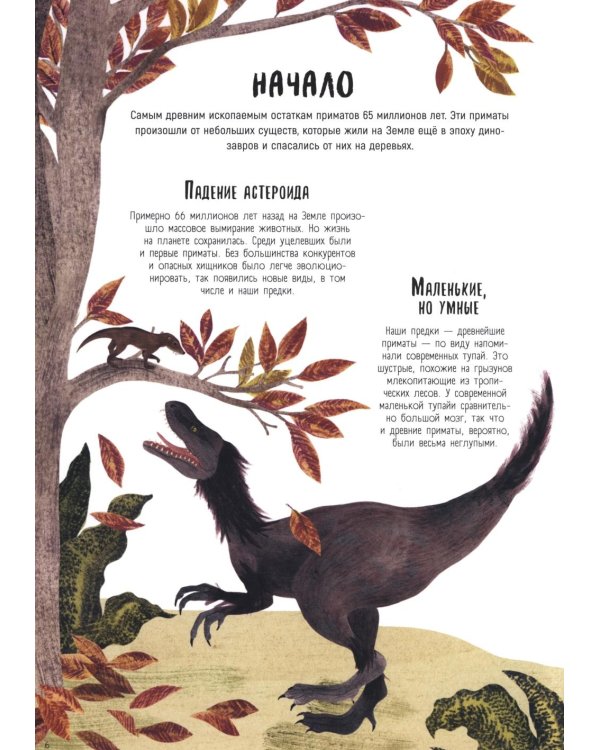 Как мы стали людьми. Невероятные приключения человечества