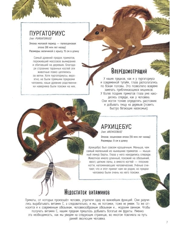 Как мы стали людьми. Невероятные приключения человечества