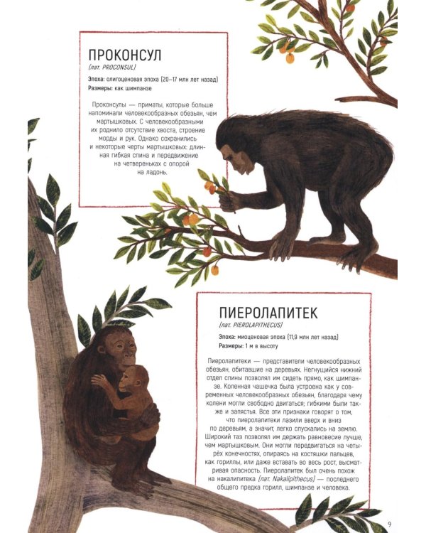 Как мы стали людьми. Невероятные приключения человечества