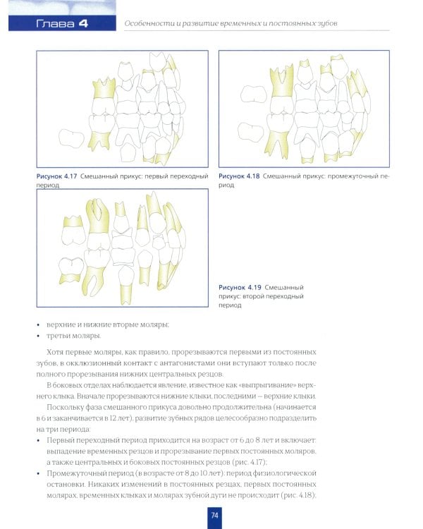 Детская стоматология. 2-е изд