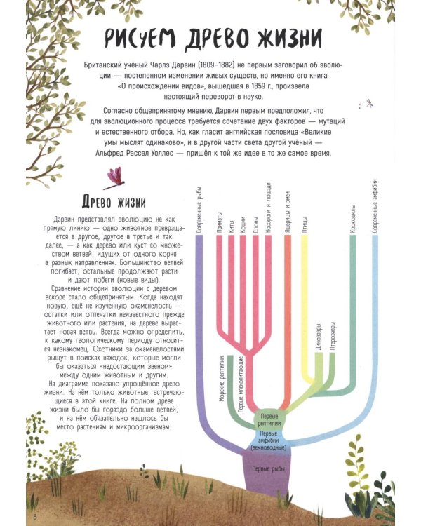 Когда киты умели ходить. Эволюция. Невероятные превращения видов