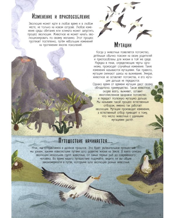 Когда киты умели ходить. Эволюция. Невероятные превращения видов