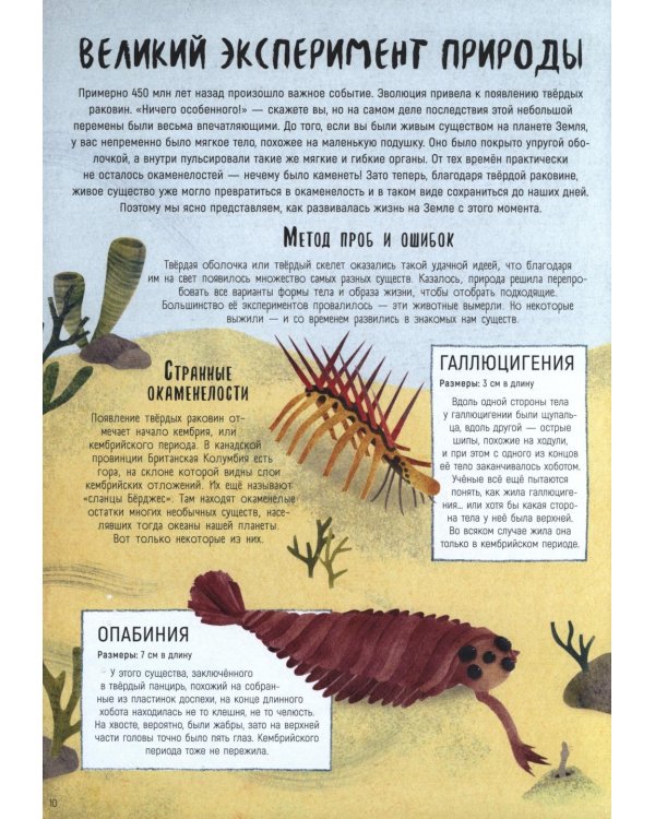 Когда киты умели ходить. Эволюция. Невероятные превращения видов