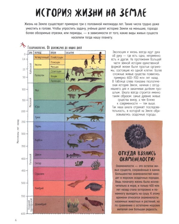Когда киты умели ходить. Эволюция. Невероятные превращения видов