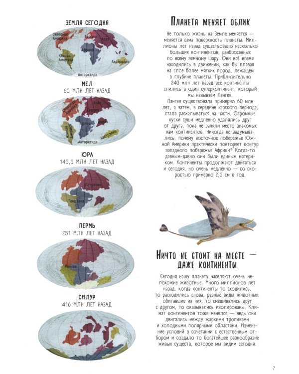 Когда киты умели ходить. Эволюция. Невероятные превращения видов