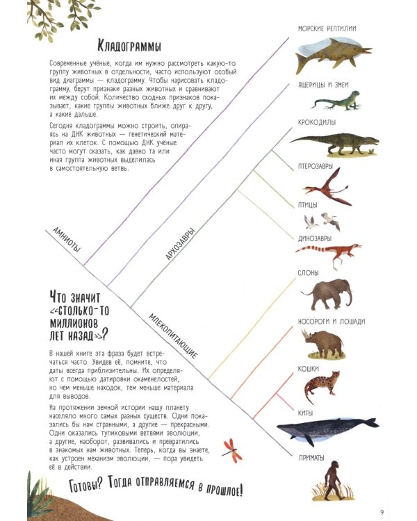 Когда киты умели ходить. Эволюция. Невероятные превращения видов