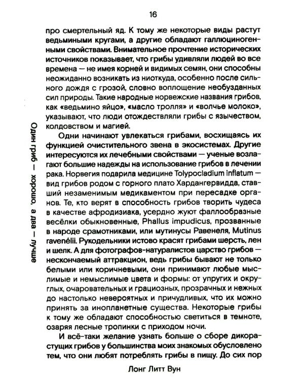 Путь через лес. О грибах и скорби