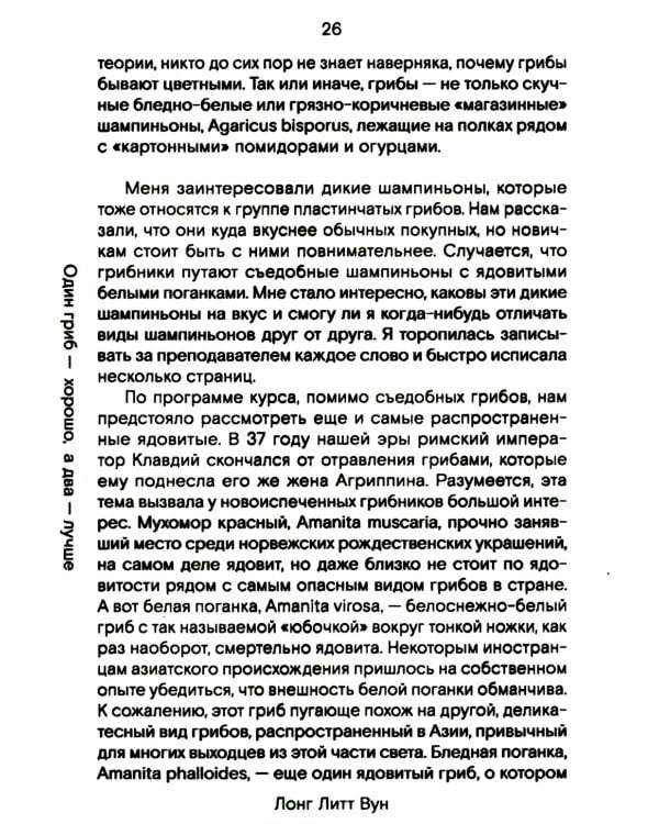 Путь через лес. О грибах и скорби