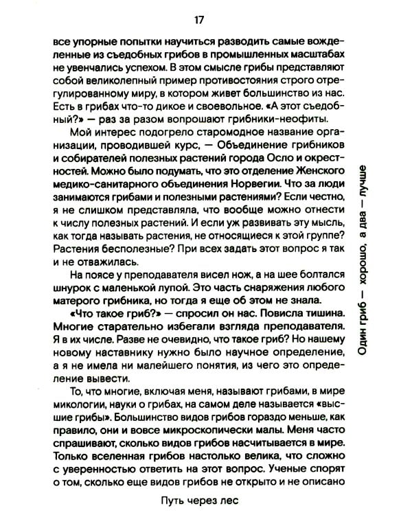 Путь через лес. О грибах и скорби