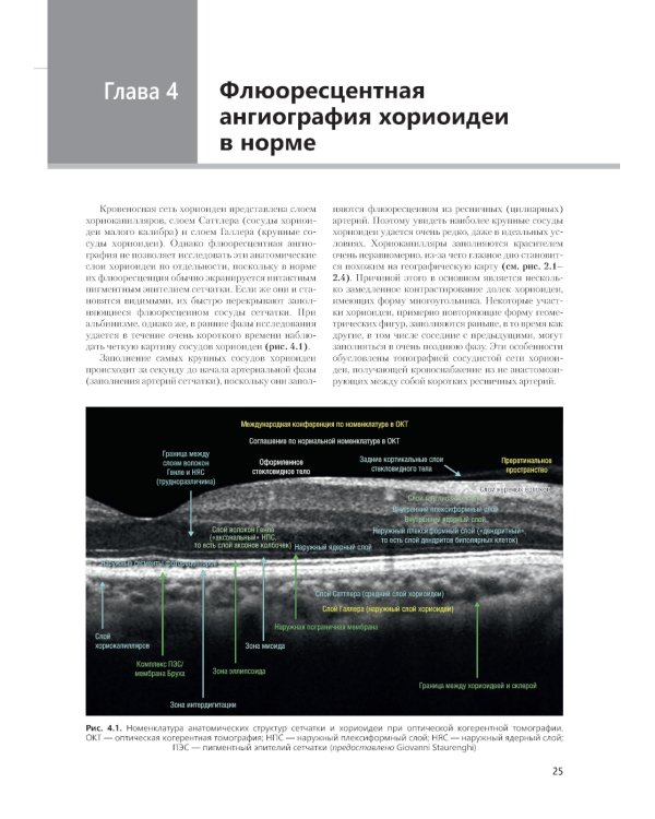 Флюоресцентная ангиография заднего полюса и периферии сетчатки: практическое руководство