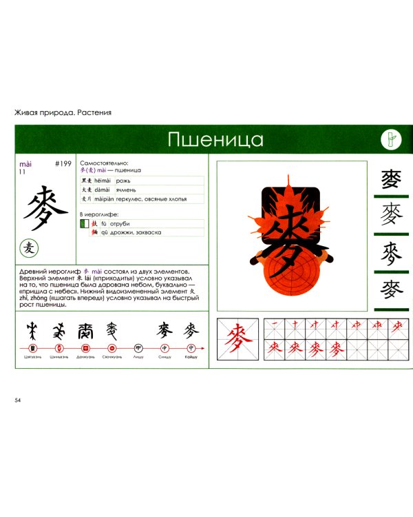 Учи ключи. Изучаем, запоминаем, пишем и играем. 214 ключей китайских иероглифов: Учебное пособие. 2-е изд., испр. и доп