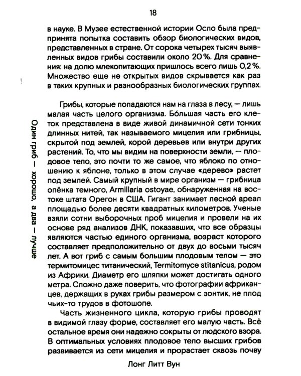 Путь через лес. О грибах и скорби
