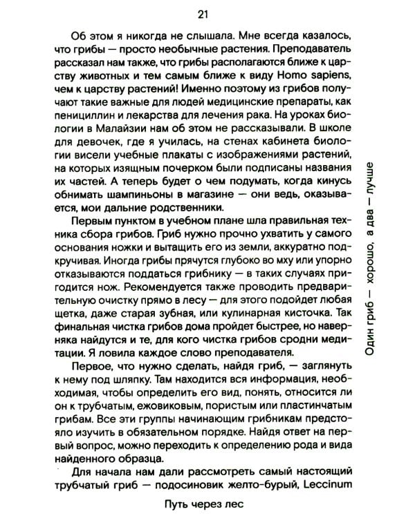 Путь через лес. О грибах и скорби