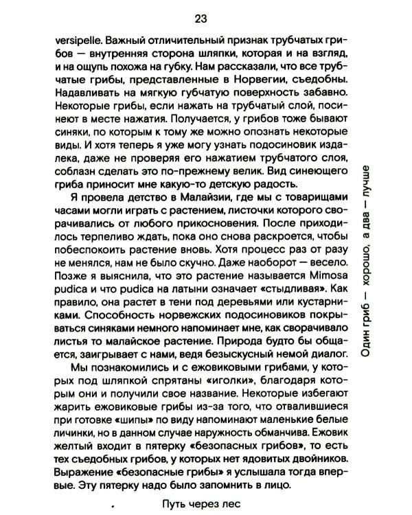 Путь через лес. О грибах и скорби