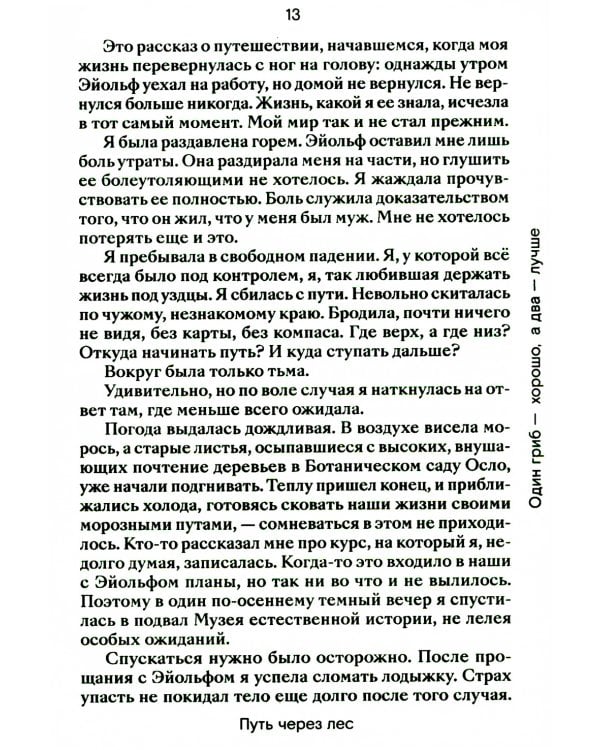 Путь через лес. О грибах и скорби